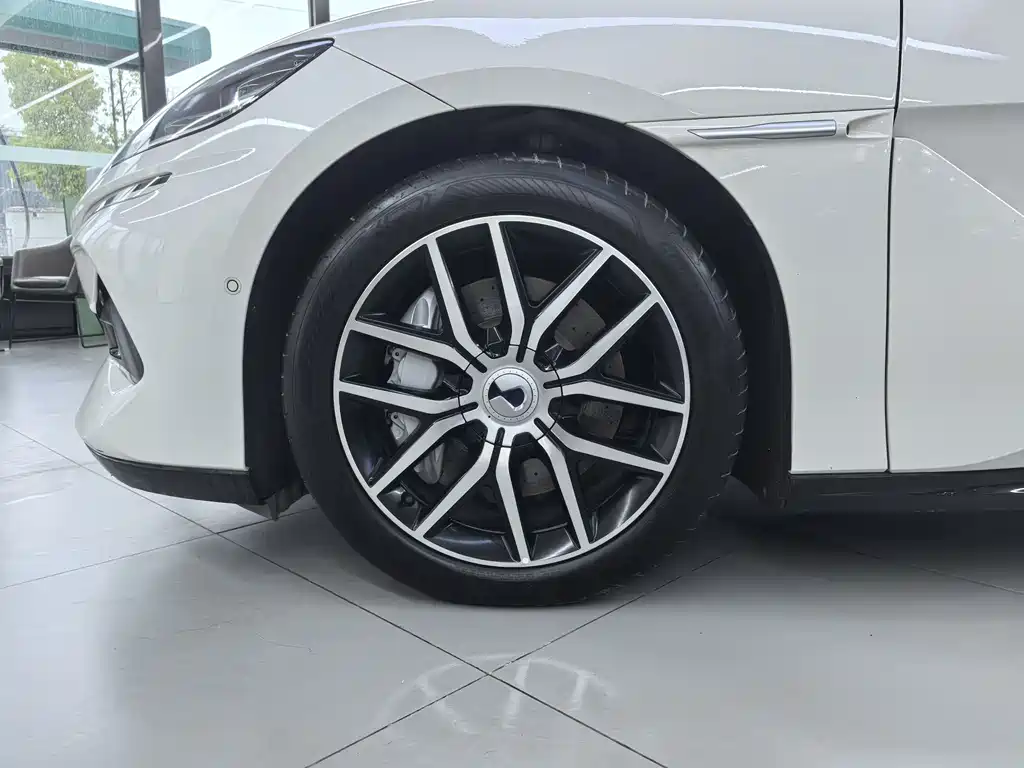Denza Z9 2024 1100km Max