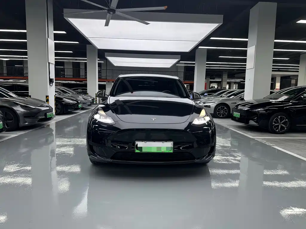 Tesla Model Y — миниатюра 2