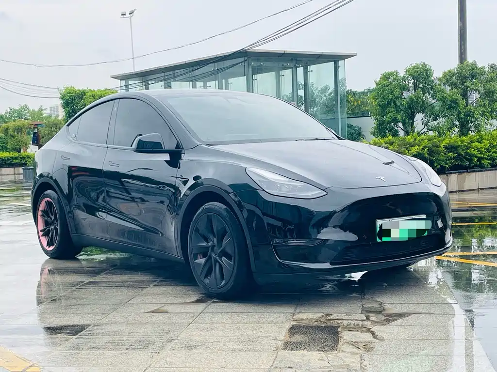 Tesla Model Y — миниатюра 3