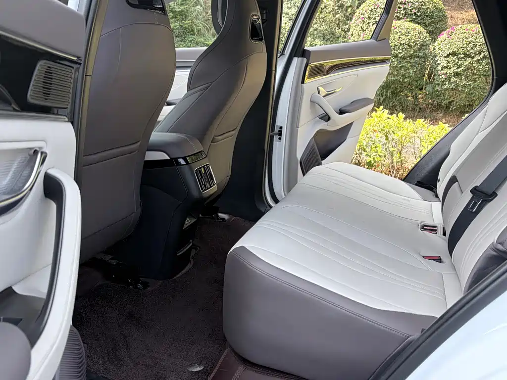 BYD SONGJIANG NEW ENERGY