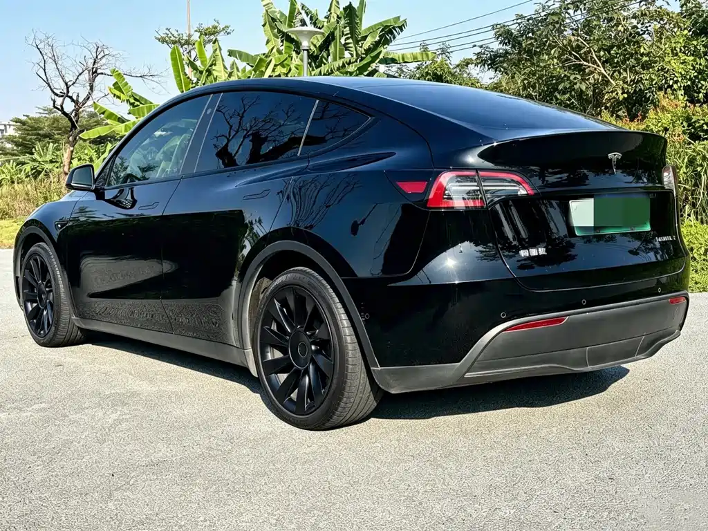Tesla Model Y — миниатюра 6