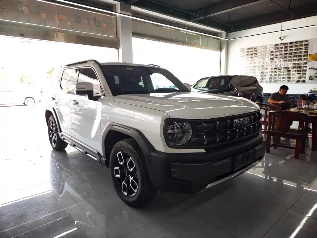 Haval Cool Dog — миниатюра 3