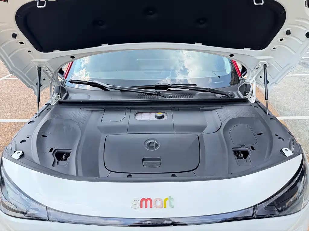 smart Smart #3 — миниатюра 16