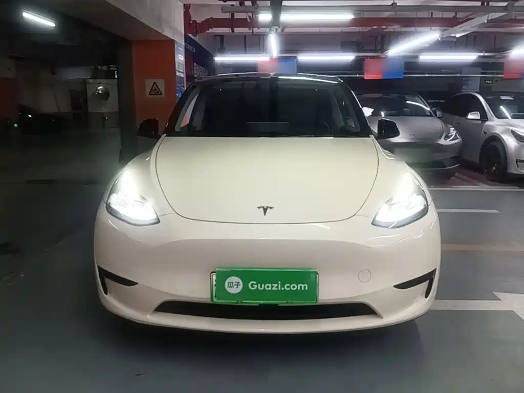 Tesla Model Y — миниатюра 3