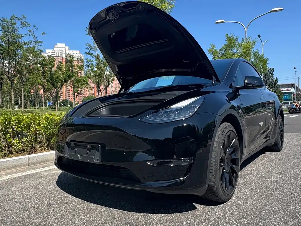 Tesla Model Y — миниатюра 10