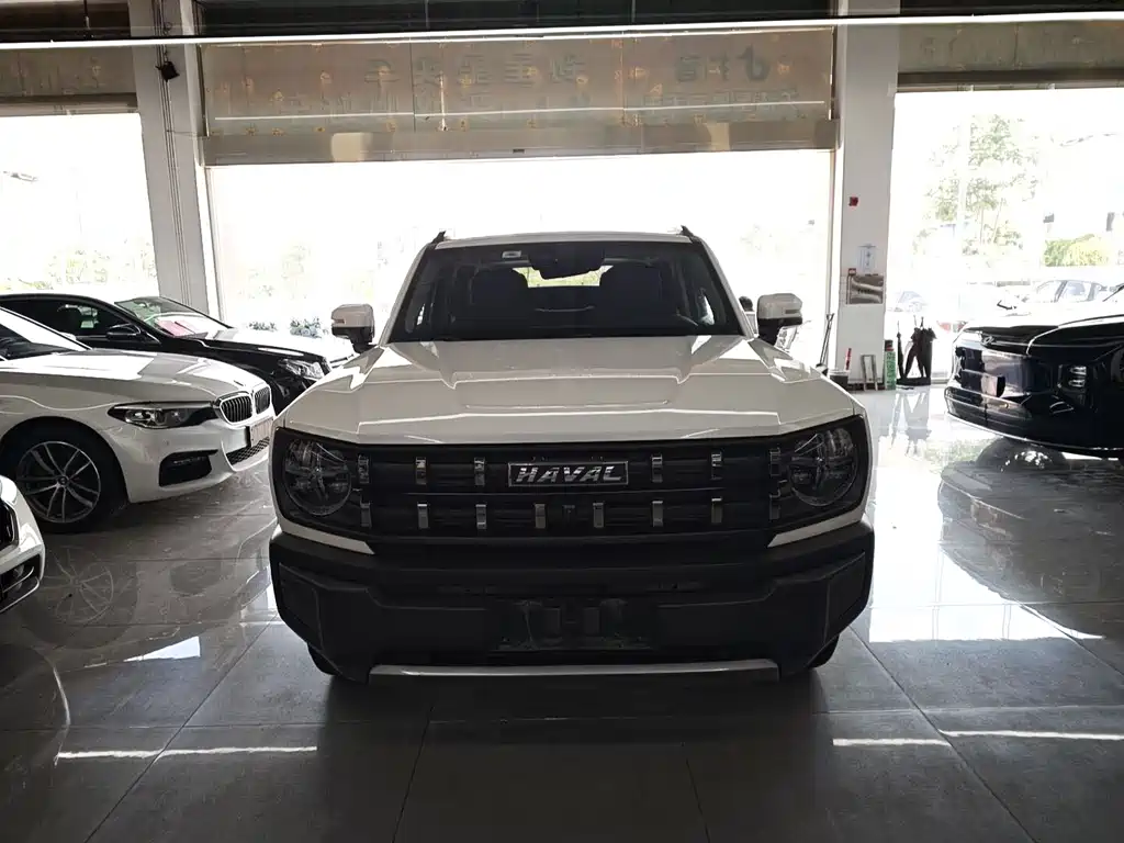 Haval Cool Dog — миниатюра 2