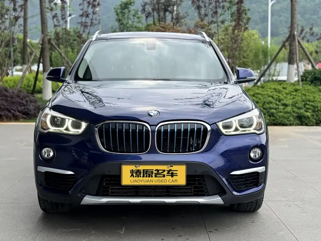 BMW X1 2018 xDrive25Le Luxury