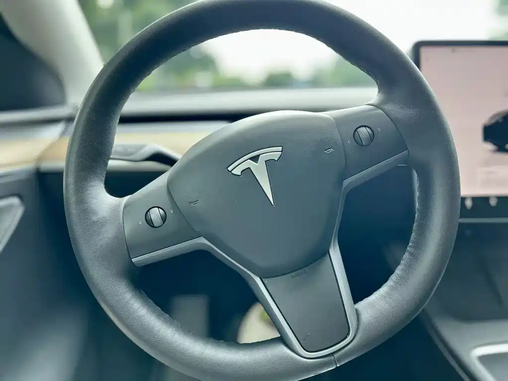 Tesla Model Y — миниатюра 18