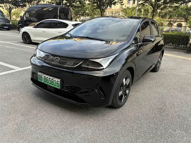 2025 BYD Dolphin