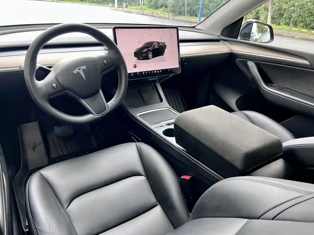 Tesla Model Y — миниатюра 10