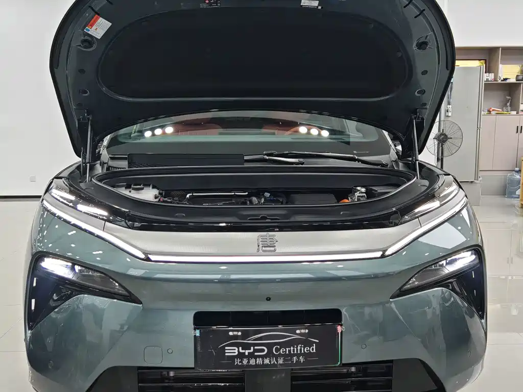 BYD Tang L — миниатюра 2