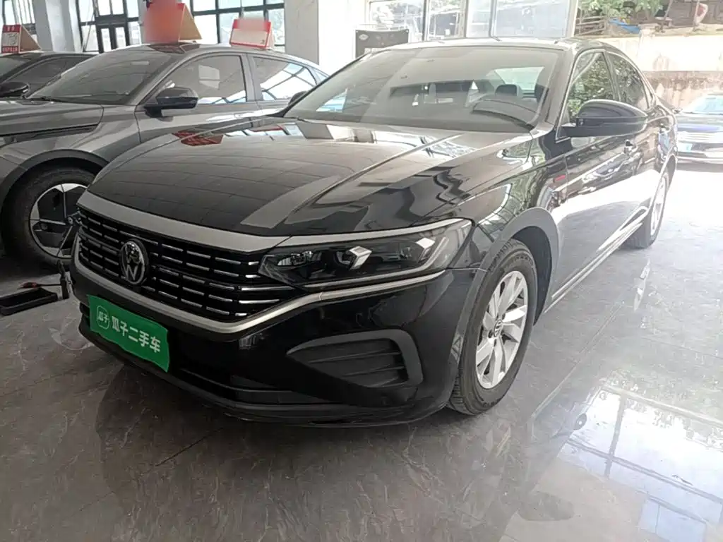 Volkswagen Passat — миниатюра 2