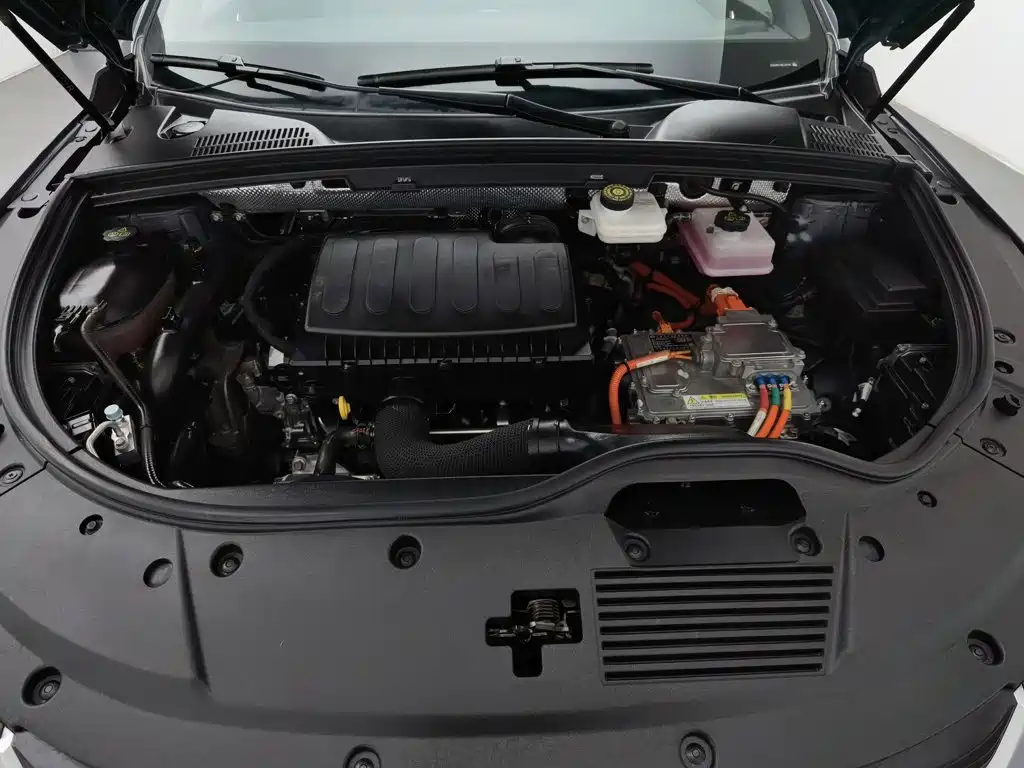 BYD Tang 2021 DM 2.0T Luxury