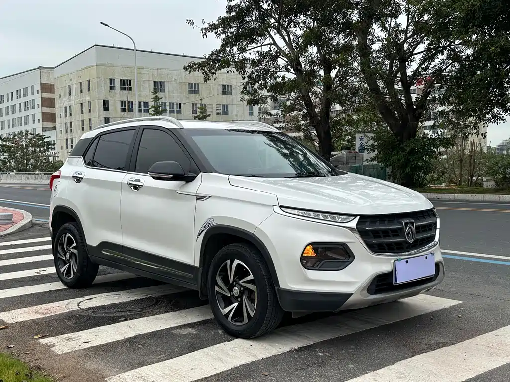 BAOJUN 510