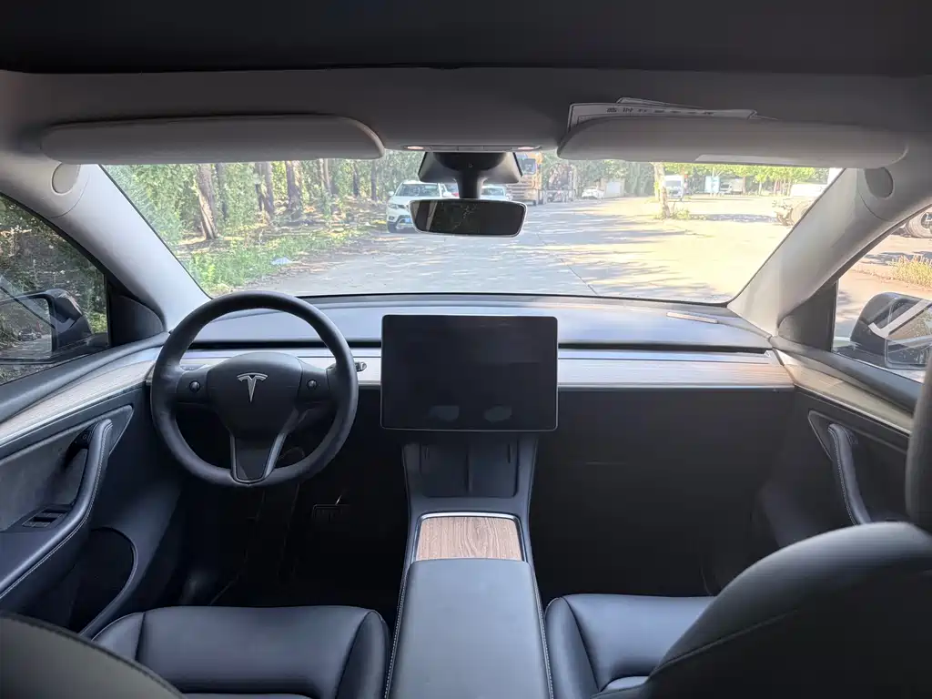 Tesla Model Y — миниатюра 7