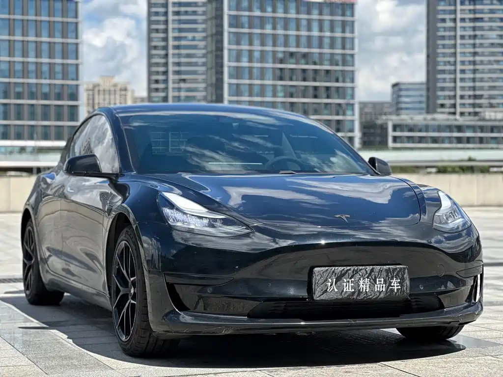 Tesla Model 3 — миниатюра 3