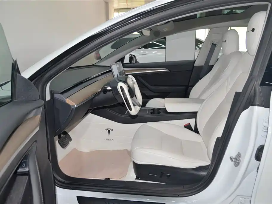Tesla Model 3 2021 3D1