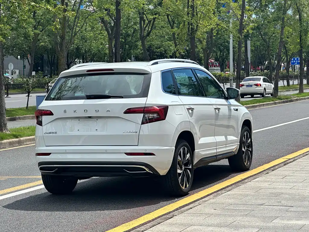 Skoda Karoq 2024 — фото 11