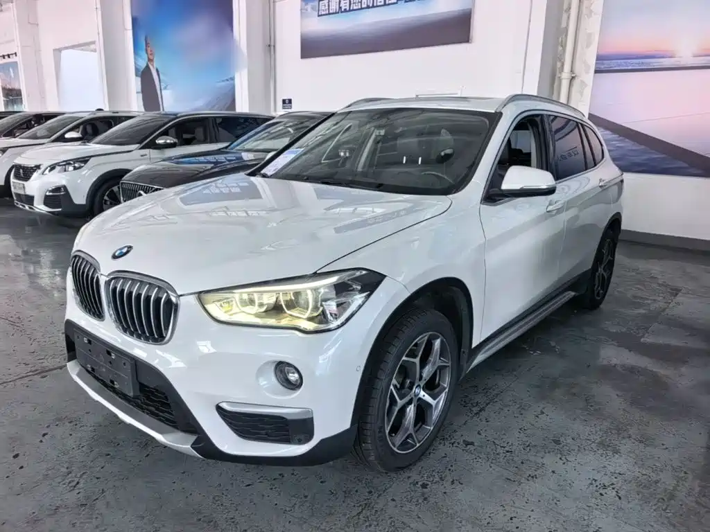 BMW X1 — миниатюра 2