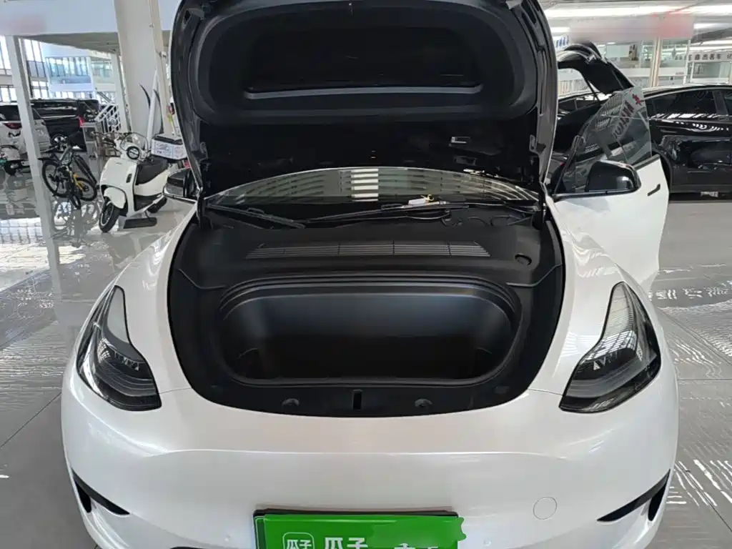 Tesla Model Y — миниатюра 20
