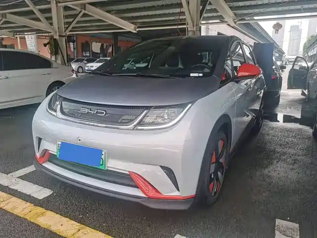 2023 BYD Dolphin