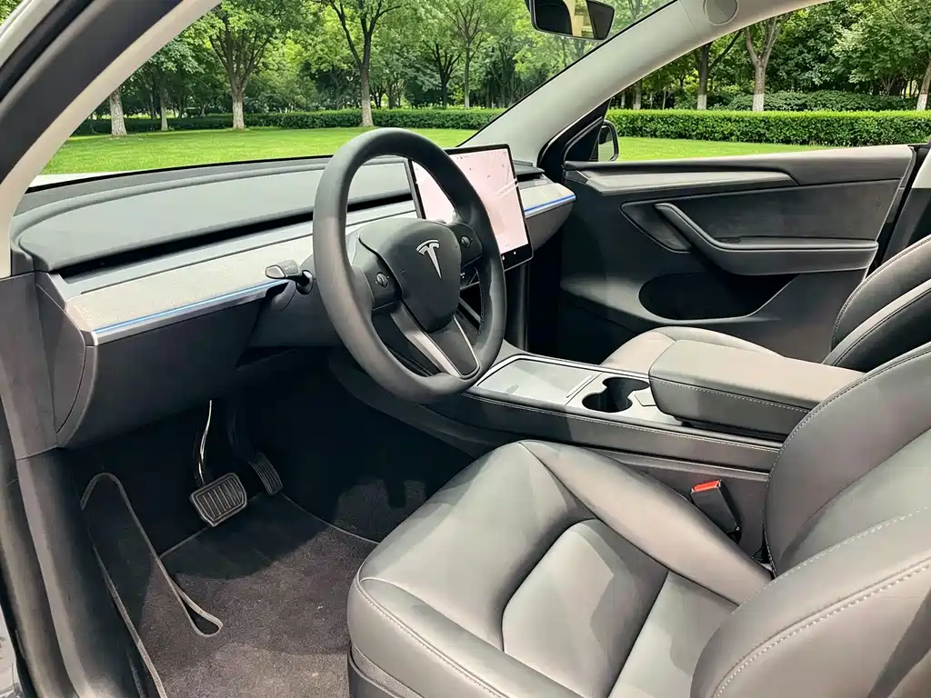 Tesla Model Y — миниатюра 8
