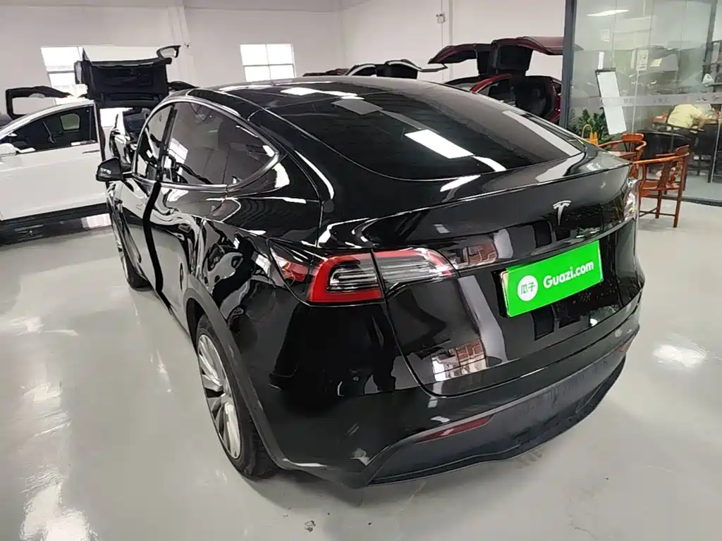 Tesla Model Y — миниатюра 5