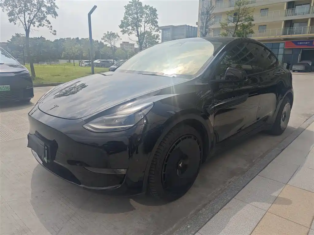 Tesla Model Y 2021 Long Range AWD Edition 3D7