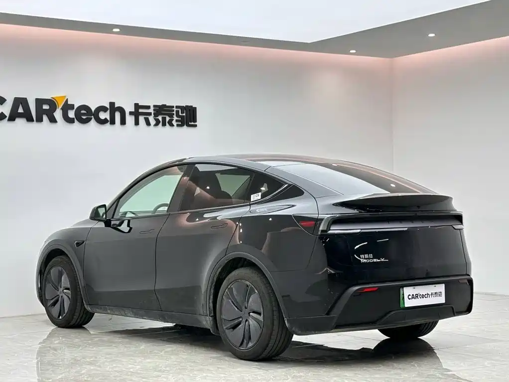 Tesla Model Y — миниатюра 3