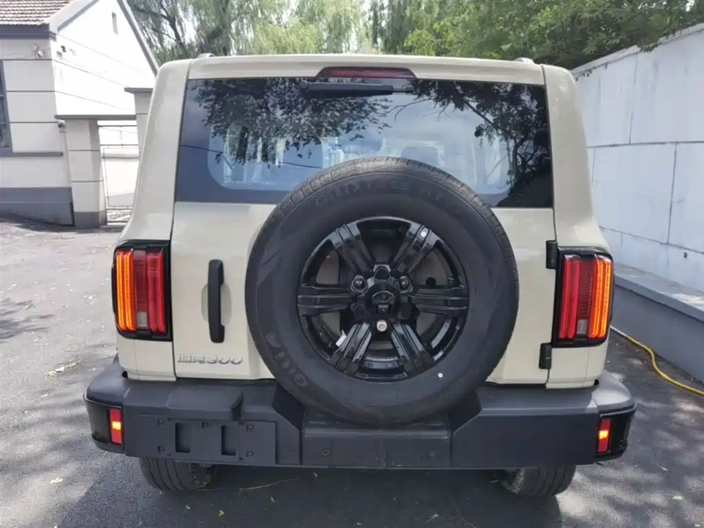 Tank 300 2025 2.0T