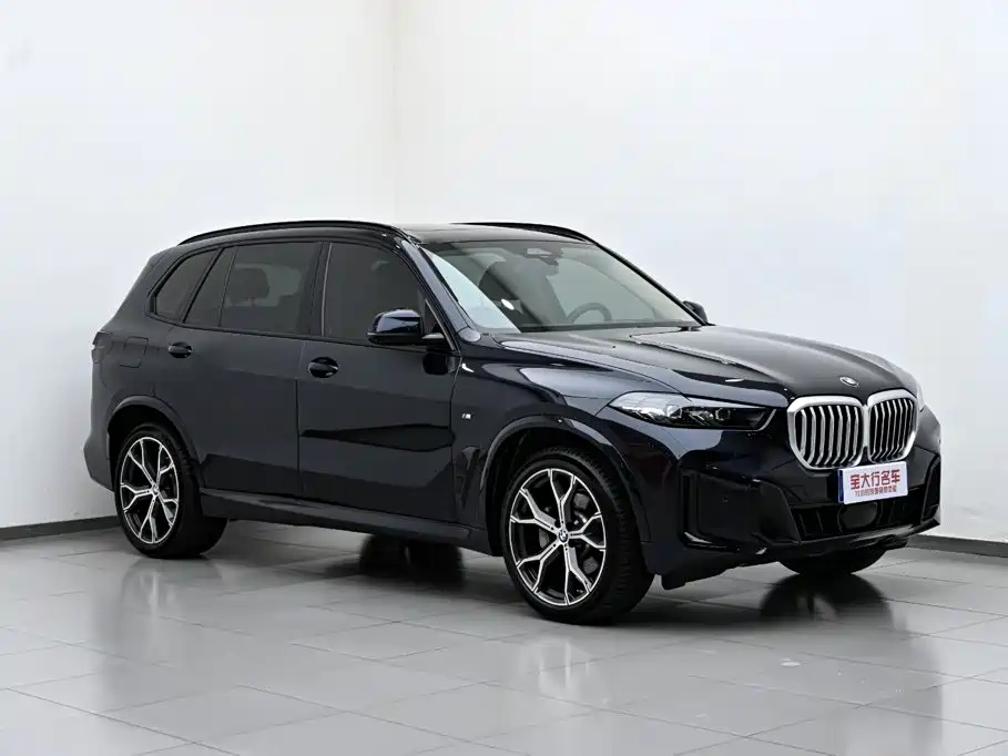 BMW X5 — миниатюра 4