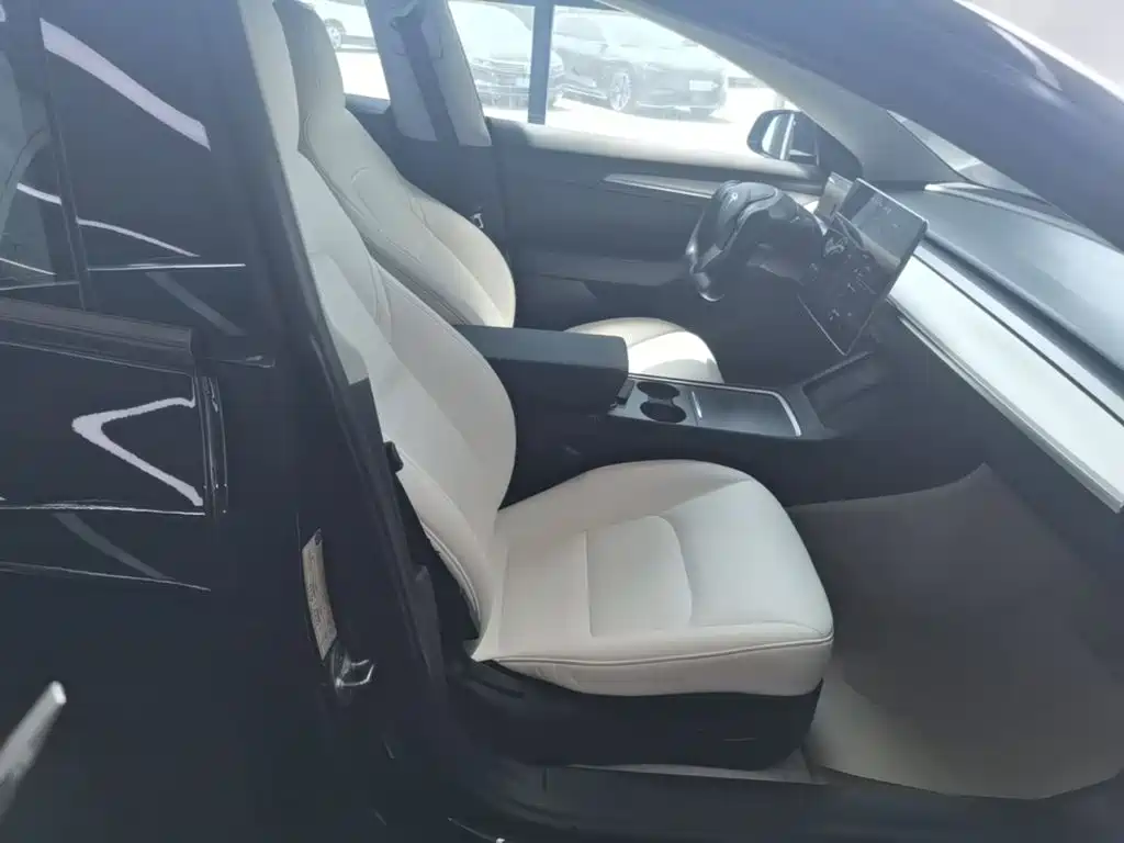 Tesla Model 3 — миниатюра 25