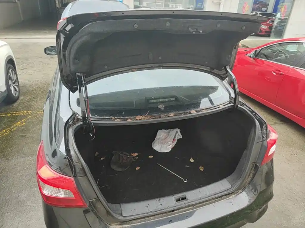 Nissan Sylphy — миниатюра 19