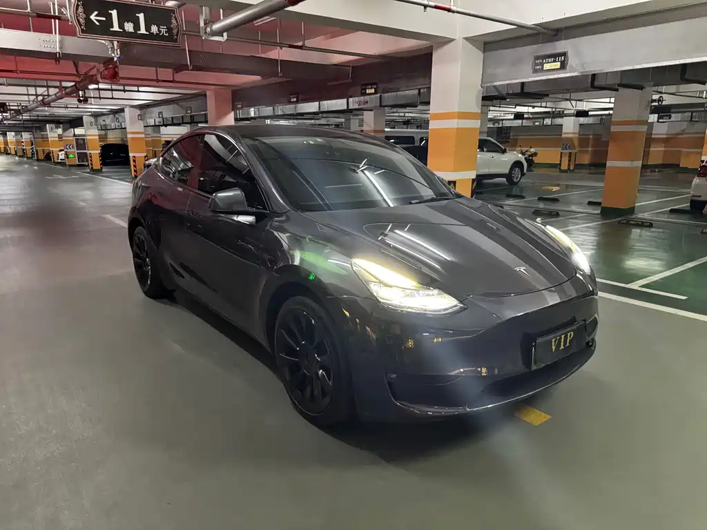 Tesla Model Y — миниатюра 3