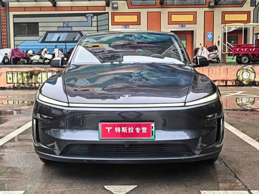 Tesla Model Y — миниатюра 2