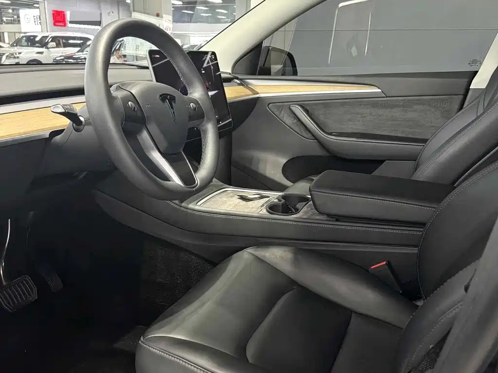 Tesla Model Y — миниатюра 4