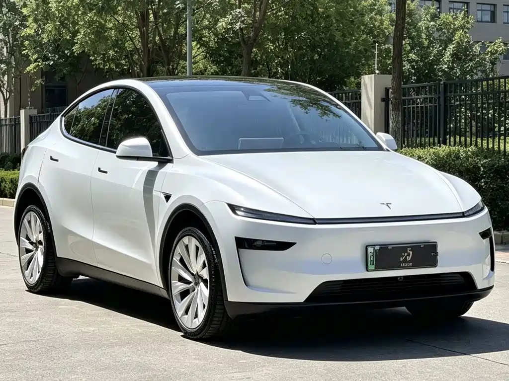 Tesla Model Y — миниатюра 3