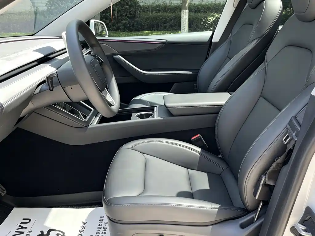 Tesla Model Y — миниатюра 13