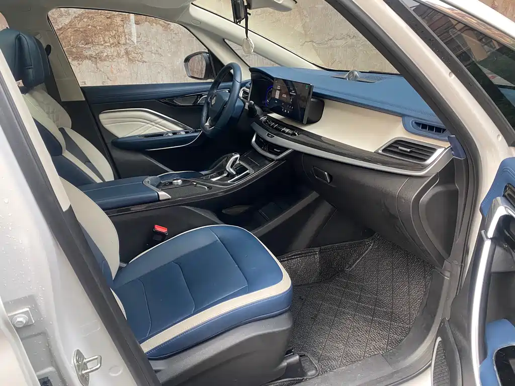 RUILAN AUTOMOBILE MAPLE LEAF 80V PRO