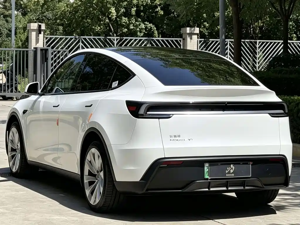 Tesla Model Y — миниатюра 4