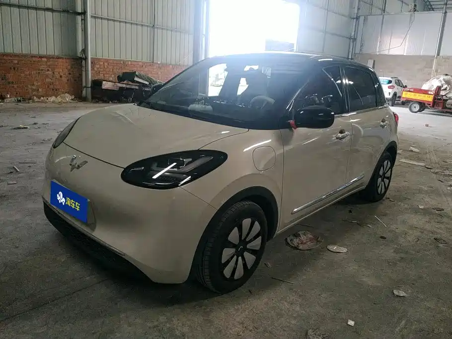 Wuling Bingo