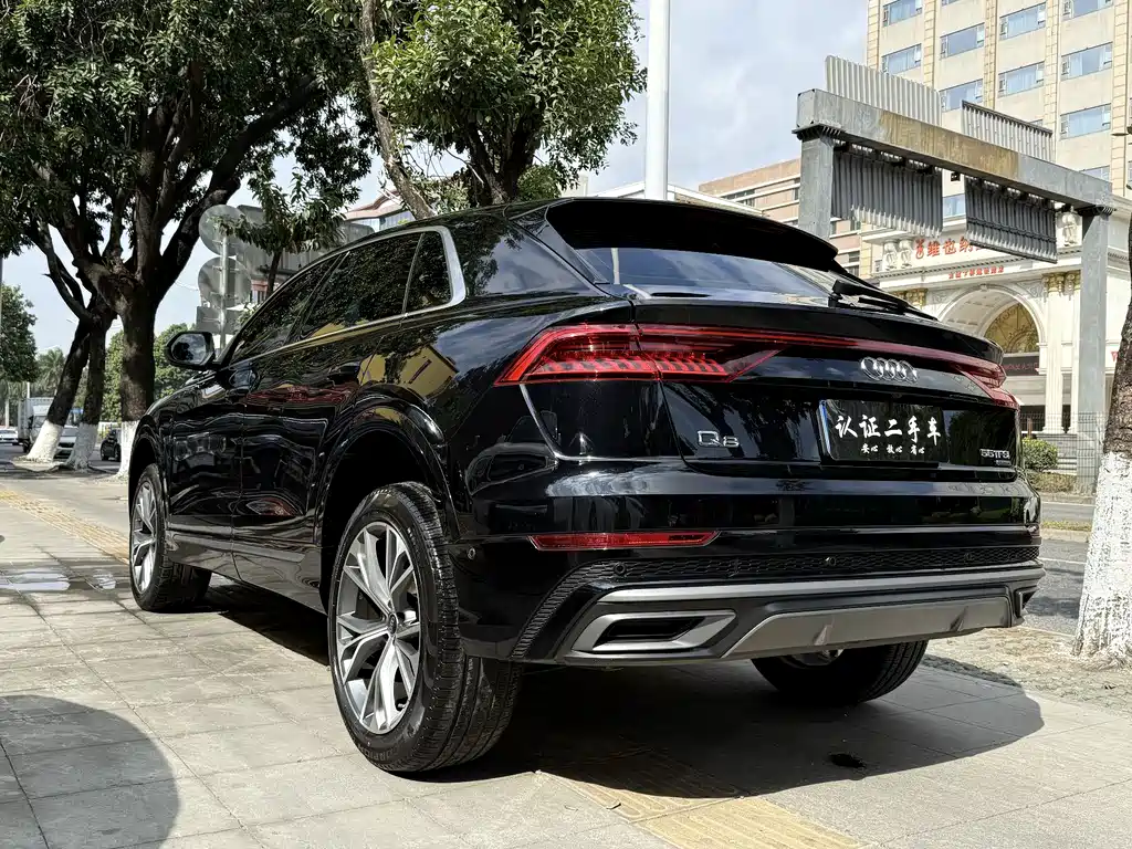 Audi Q8 2022 55 TFSI Luxury