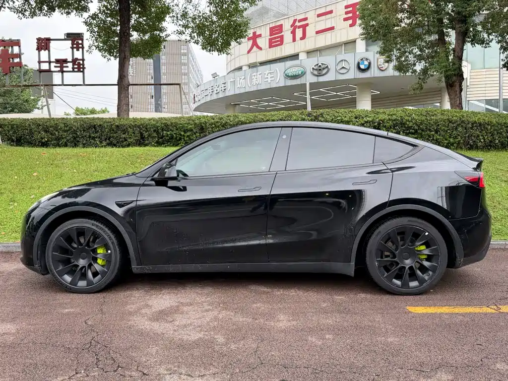Tesla Model Y — миниатюра 3