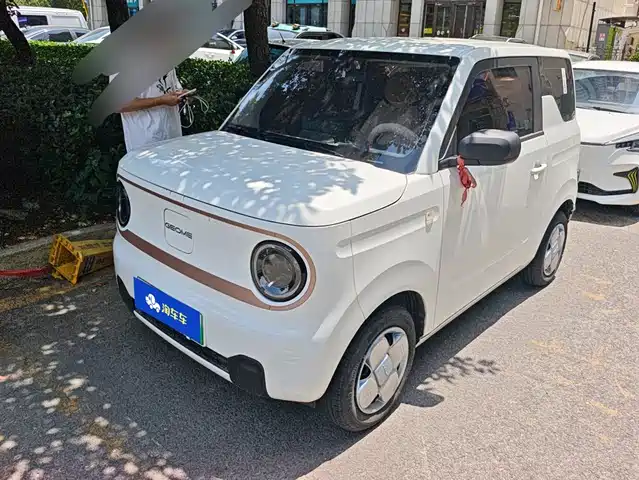 2024 Geely LC (Panda)
