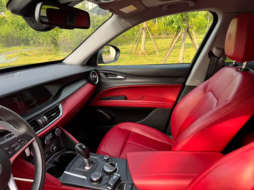 Alfa Romeo Stelvio 2.0T 200HP Luxury Edition, фото 11