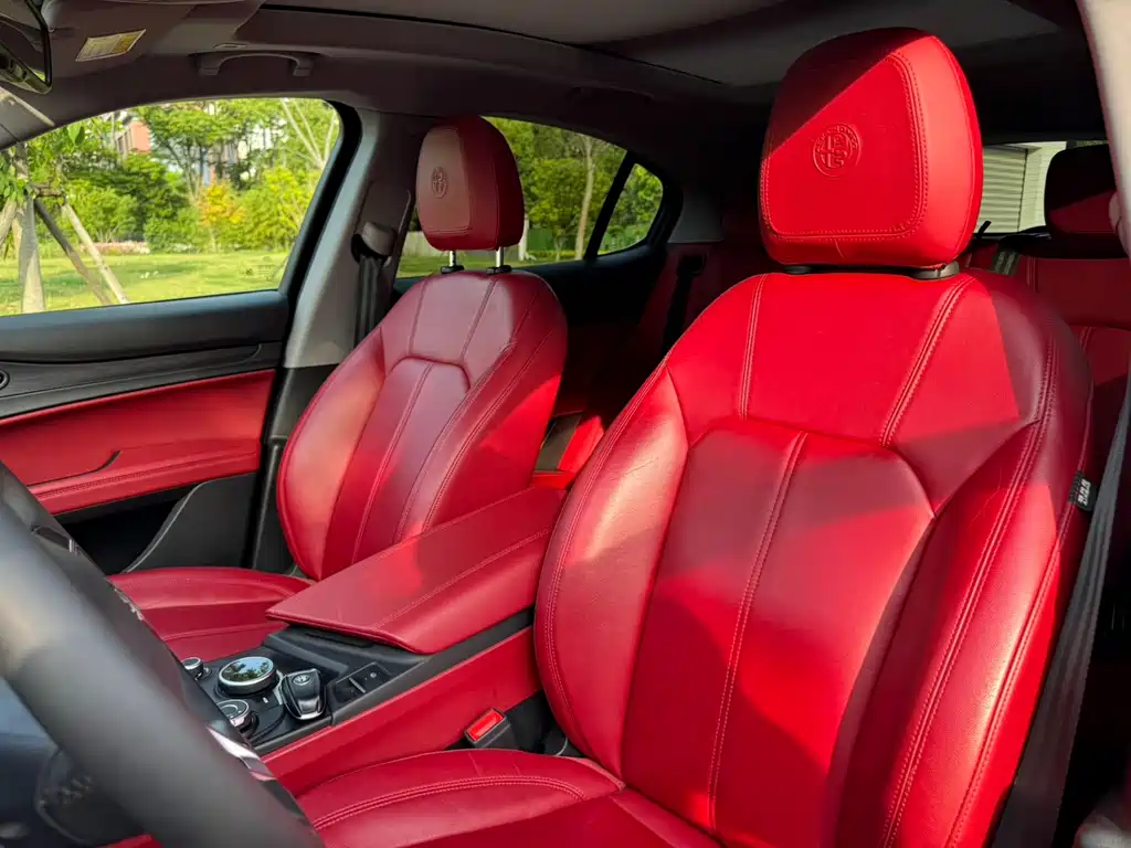 Alfa Romeo Stelvio 2.0T 200HP Luxury Edition, фото 12