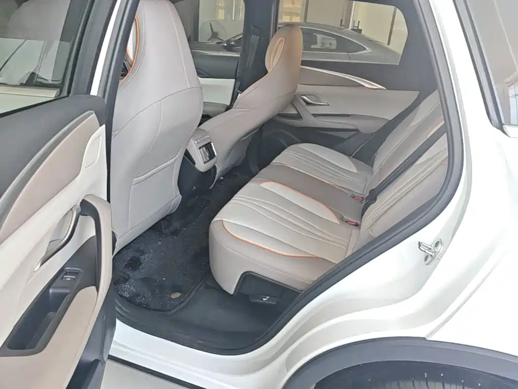 BYD Pro New Energy — миниатюра 17