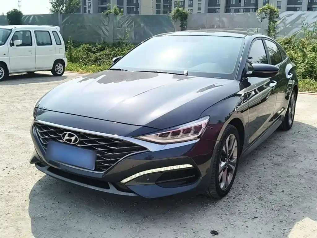 Hyundai Fista — миниатюра 2