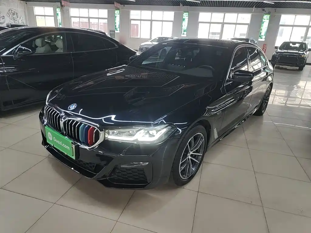 BMW 5 Series New Energy 2023