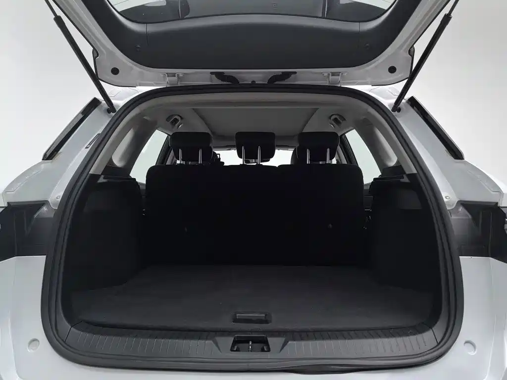 BYD Pro — миниатюра 16